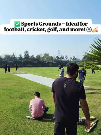 Our natural grass turf is ideal for creating durable and safe sports grounds. Here you can see a cricket match being enjoyed on a lawn we supplied, highlighting its suitability for recreational use.