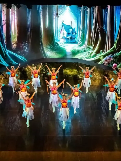 This scene from "Alice" highlights our ensemble work, with a large group of dancers moving in perfect unison against a digitally created forest backdrop, demonstrating our corps de ballet's strength.