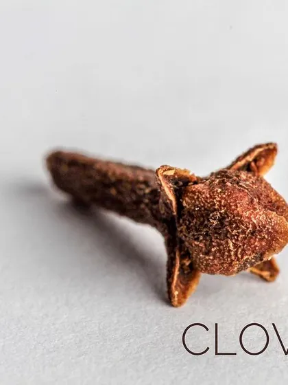 A detailed look at a single clove, a powerful spice used sparingly for its intense flavor.