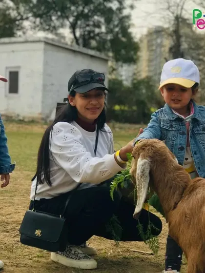 A mother and her two young children feeding leafy greens to a friendly brown goat.