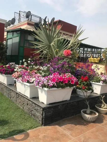 Our designs are defined by vibrant color and meticulous detail. This rooftop terrace garden is a testament to our passion for floriculture, featuring an abundant display of seasonal flowers in elegant white planters.
