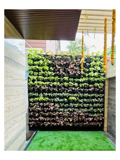 A completed vertical garden in a residential entryway. We used a pattern of green and pink Syngonium plants to create a beautiful, artistic green wall that turns a once-boring space into a vibrant feature.