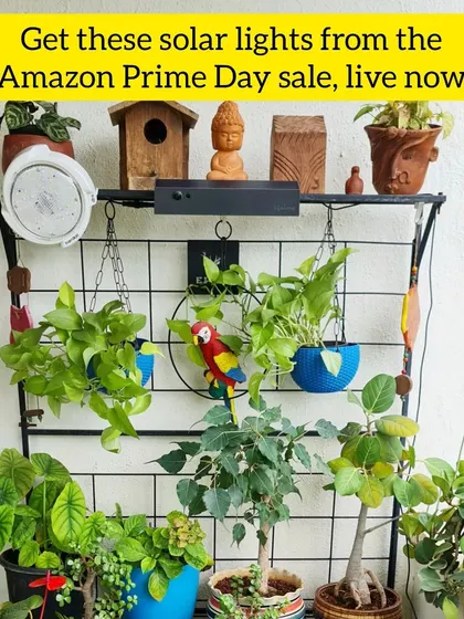 These solar lights from the Amazon Prime Day sale are a great addition to the garden. They make the space look beautiful at night without any electricity.
