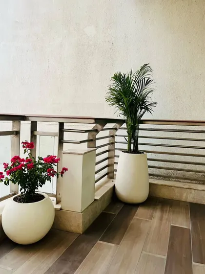 This composition shows how we mix different planter shapes and plant types, like the flowering bougainvillea and the upright palm, to create visual interest on a balcony with WPC tile flooring.