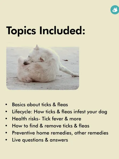 Our 'Say Goodbye to Ticks & Fleas' class covers the lifecycle of these parasites, the health risks they pose, and a full range of preventive measures. This slide shows the comprehensive topics included in the session.