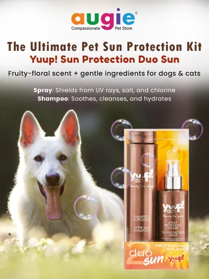This is the ultimate pet sun protection kit. The Yuup! Sun Protection Duo includes a spray to shield from UV rays, salt, and chlorine, and a shampoo to soothe and cleanse after sun exposure.