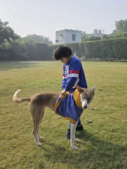 A quiet moment between a boy and his dog. Our peaceful environment allows for calm, bonding experiences away from the noise and distractions of daily life.