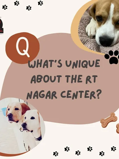 What's unique about our RT Nagar center? We get this question a lot from pet parents looking for the perfect fit for their dog in the area.