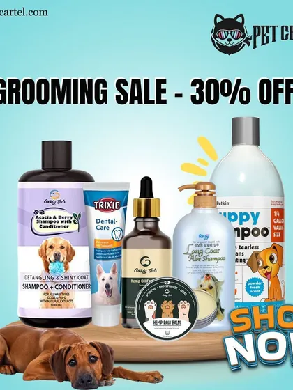 Keep your pet's coat shiny and their paws soft with our grooming essentials. This image displays a range of products like detangling shampoo, dental care gel, and hemp balm, all available in our store.