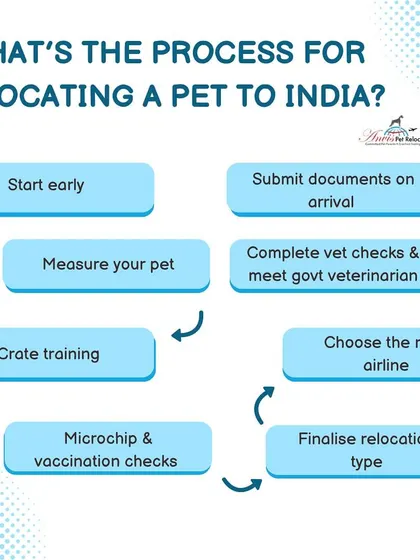 Moving to India with your pet? Our clear, step-by-step process ensures a hassle-free experience. We guide you from the early stages of crate training and microchipping to final document submission and arrival.