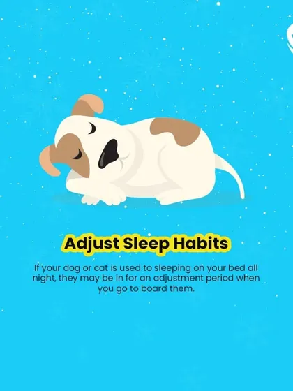 Adjust sleep habits before boarding. If your pet is used to sleeping on your bed, it helps to get them used to their own space for a smoother transition.