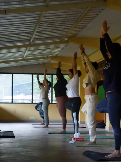 Leading a group in Vrikshasana, or Tree Pose, at our hillside retreat. Practicing balance poses together helps us find both individual stability and collective harmony.