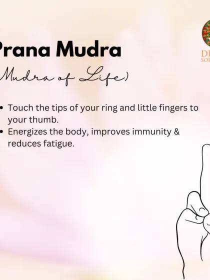 Prana Mudra is the Mudra of Life. Touching the tips of your ring and little fingers to your thumb helps to energize the body, improve immunity, and reduce fatigue.