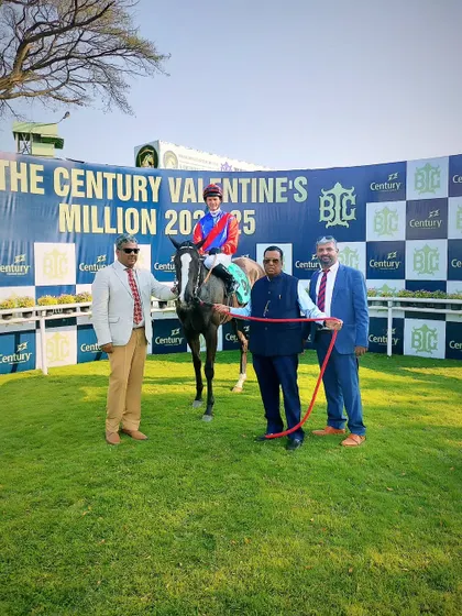 Ravishing Beauty, with jockey David Allan, after a beautiful win on Valentine's Day.