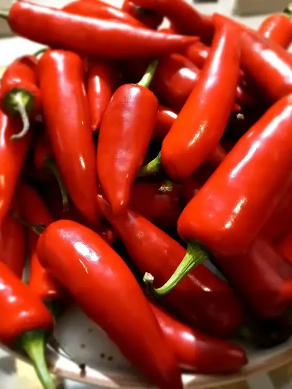 The vibrant color of these red chillies is all-natural and is what gives my pickle its beautiful hue.
