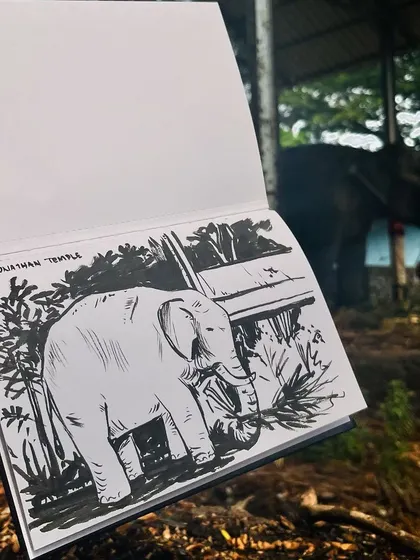 Another sketch of the temple elephant in Thrissur. I used a brush pen to create bold lines and textures.