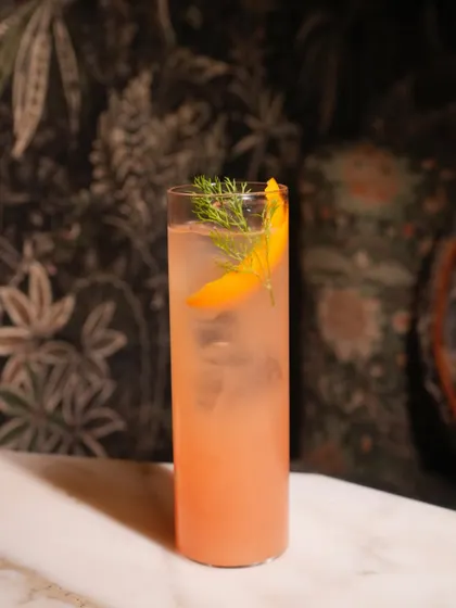 Another shot of the Fennel Paloma, showcasing its clean presentation and the fresh dill garnish.