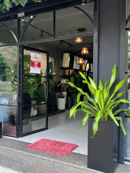 The entrance to our store, with the doors wide open to welcome you in. A large, leafy plant in a black planter stands guard, giving a hint of the green paradise inside.