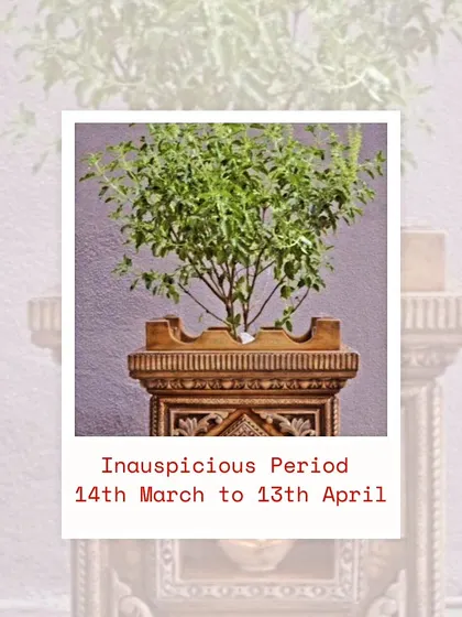 According to ancient wisdom, certain periods are considered inauspicious for new beginnings. During such times, focusing on simple rituals like worshipping a Tulsi plant can maintain positive energy in your home.