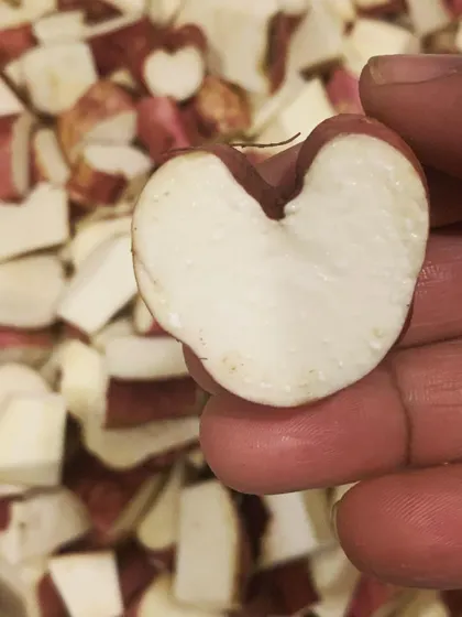 I found this heart-shaped sweet potato while prepping, and it felt right. Cooking with love is my main ingredient for every meal.