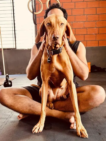 My favorite gym buddy, Beans the Vizsla. He's not great at lifting, but he's the best at moral support.