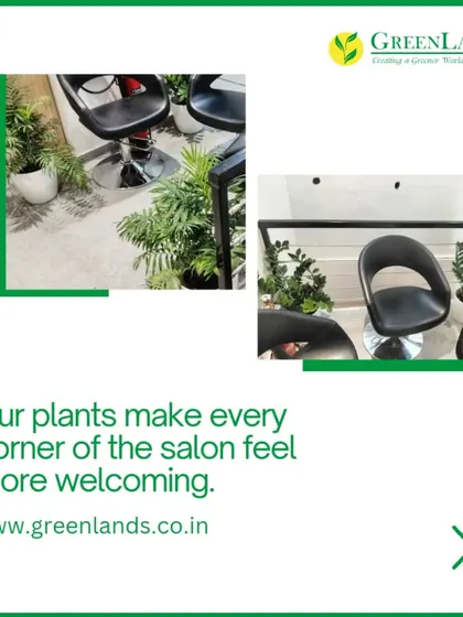 Our plants make every corner of this salon feel more welcoming. Here, we've placed planters strategically around the styling chairs to ensure a pleasant and green view for every client.