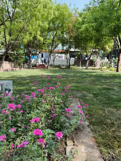 A beautiful residential lawn in Noida we recently completed, featuring a healthy grass turf complemented by flowering perennials and mature trees.