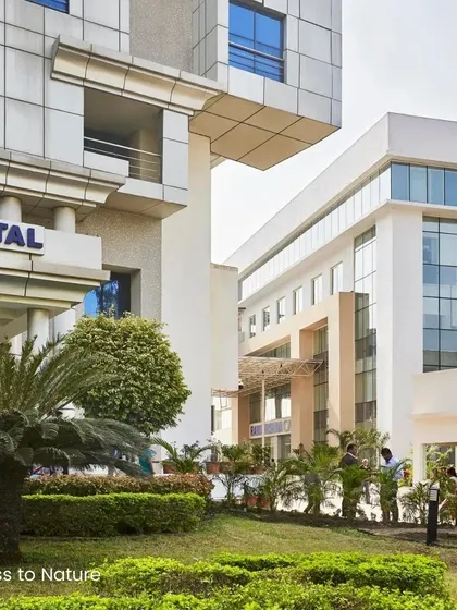 Access to nature is a crucial component of patient-centered design. The landscaping and green spaces around our hospitals provide calming vistas and areas for respite, fostering a sense of dignity and control for patients.