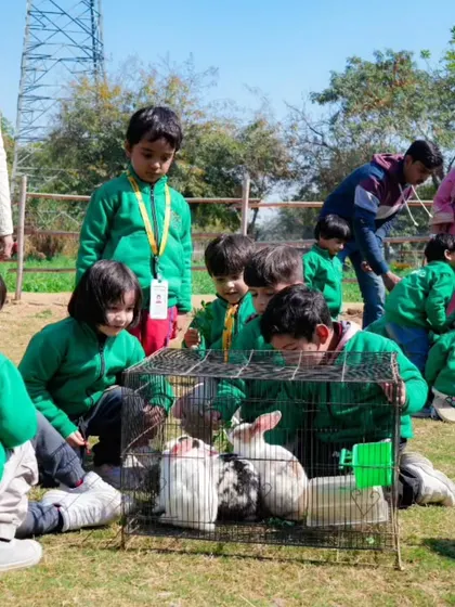 A group of school children in their green uniforms gather around to watch and pet our rabbits.