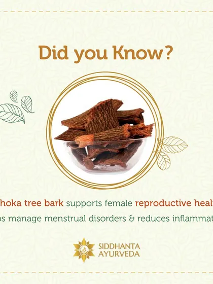 The Ashoka tree is another cornerstone of my practice for female reproductive health. I use its bark to help manage menstrual disorders and reduce inflammation, providing natural support for a healthy cycle.