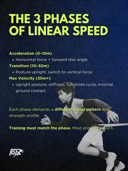 A sprint has three distinct phases: acceleration, transition, and max velocity. This graphic explains the different motor patterns and strength profiles required for each phase, highlighting that our training is specific to the demands of each stage, unlike most generic programs.