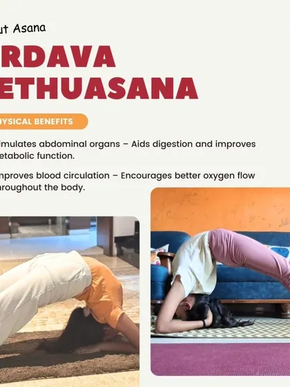 Asana in Focus: Urdava Sethuasana (Upward Bridge Pose). This infographic details the physical benefits, such as stimulating abdominal organs and improving blood circulation.