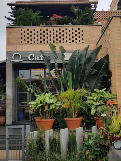 A closer look at the cafe entrance, where the building's brick jali work is complemented by layers of potted plants.