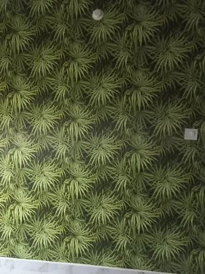 A vibrant green wallpaper with a dense, spiky leaf pattern. This design brings a lot of energy and a modern botanical feel to the space.