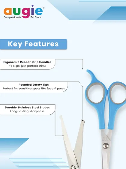 Let's look at the key features of these scissors. They have ergonomic rubber-grip handles for no-slip control, rounded safety tips for sensitive spots, and durable stainless steel blades for long-lasting sharpness.
