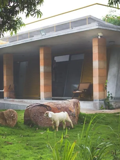 A lamb explores the landscape around "Aamra." The design of the house and its surroundings aims to be in harmony with farm life, using a raw material palette that borrows shades from the earth.