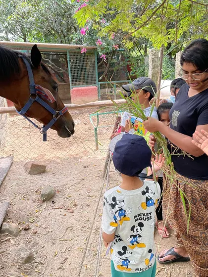 A teacher helps a child offer grass to a horse. Guided interactions ensure that both the children and the animals are safe and respected during these learning opportunities.