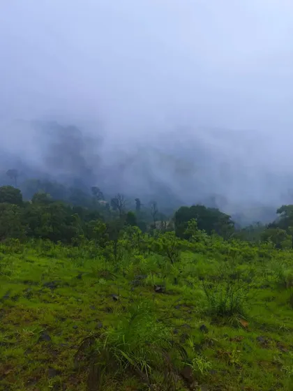 The misty and mysterious beauty of the Netravati trail during the monsoon season. The clouds often cover the entire landscape.