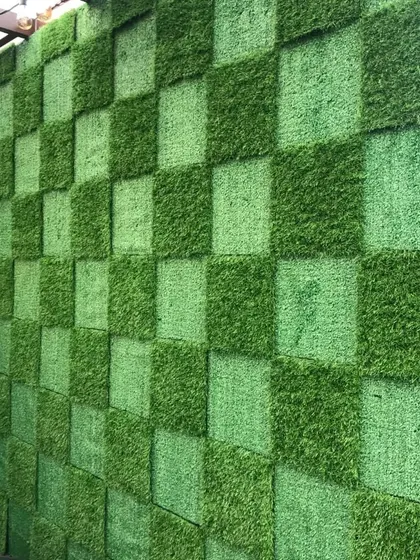 A creative checkerboard pattern I designed for a wall under a pergola in Dilshad Garden. Using two different tones of green grass tiles gives it a unique, 3D effect.