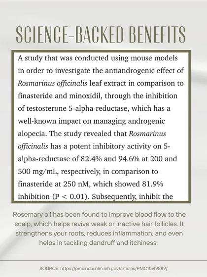 The science behind rosemary is promising. This graphic details a study showing that rosemary extract has a potent effect on inhibiting the enzyme linked to androgenic alopecia, similar to finasteride.