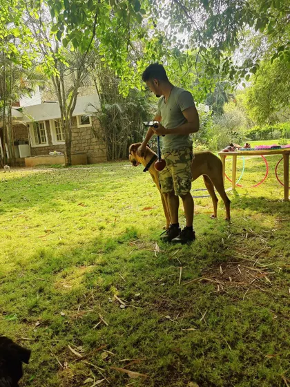A candid moment with a furry friend during a break at a flow fest. There's always time for dogs and snacks.