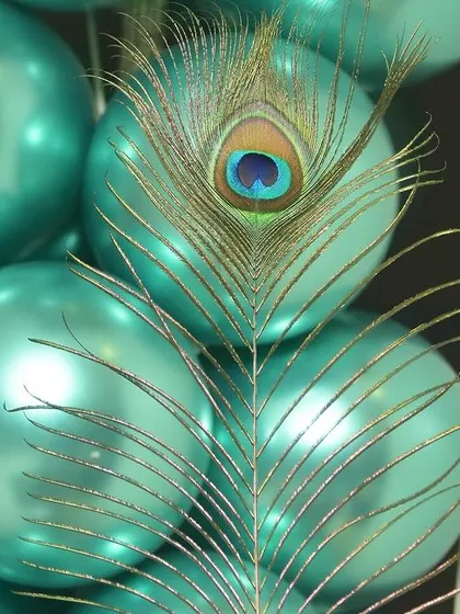 A real peacock feather adds an authentic and beautiful touch to the balloon decor.