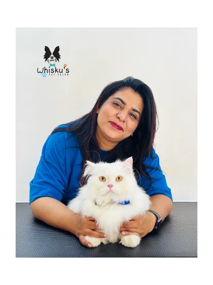 Posing with a fluffy and happy white Persian cat named Cuddly. His coat is perfectly groomed, and he is completely at ease.