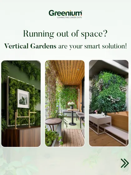 Running out of space? Vertical gardens are your smart solution. This collage shows how they can be used to maximize greenery in small apartments, balconies, and offices.