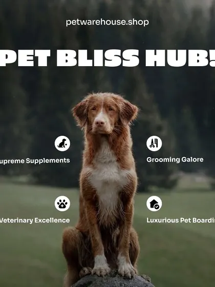 Welcome to our Pet Bliss Hub. We offer everything for your pet's well-being, from supreme supplements and veterinary excellence to grooming and luxurious pet boarding.