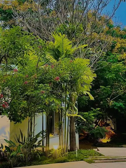 We selected a mix of trees and shrubs to provide year-round greenery and seasonal color, ensuring the garden remains visually interesting through all seasons.