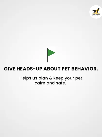 Giving me a heads-up about your pet's behavior is another big green flag. It helps me plan ahead to keep them calm, safe, and happy.
