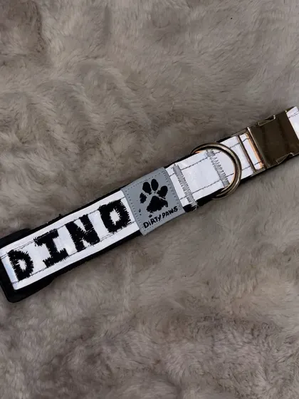 Another look at the custom "DINO" collar, showing the clear, bold embroidery and the sturdy metal buckle. It's designed to be both beautiful and durable.