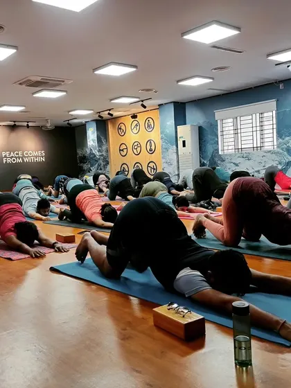 The entire class moving into Anahatasana, or Melting Heart Pose. This is a beautiful shoulder and upper back opener that encourages surrender and release.