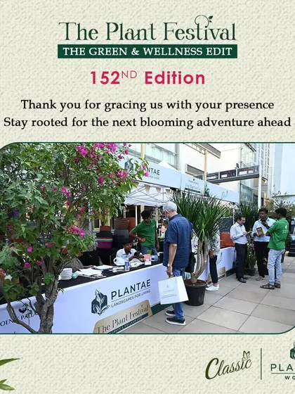 A glimpse of the vibrant atmosphere at our festival, where attendees can explore a wide variety of flowering plants and interact with knowledgeable vendors.